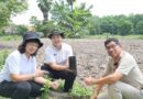 โครงการวันต้นไม้แห่งชาติ